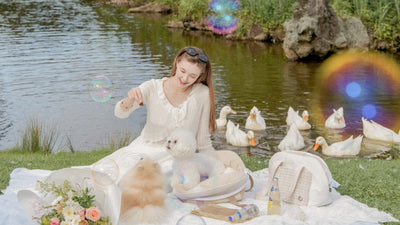 BABISYOUNG|韓国発のおしゃれな犬用キャリーバッグ