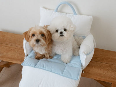 B.bed.de|韓国発のおしゃれな犬用キャリーバッグ