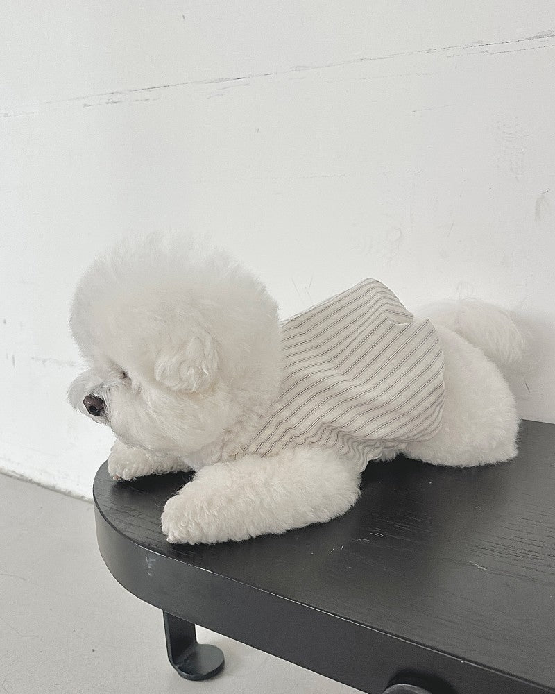 【予約】Stripe Balloon Vest