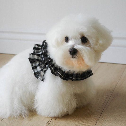 【一部即納】capeness no.12 _ Black check