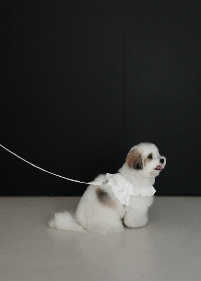 【予約】 capeness no.18 _ White