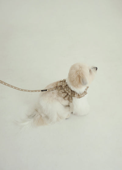 【予約】CAPENESS NO.23 leash _ Beige