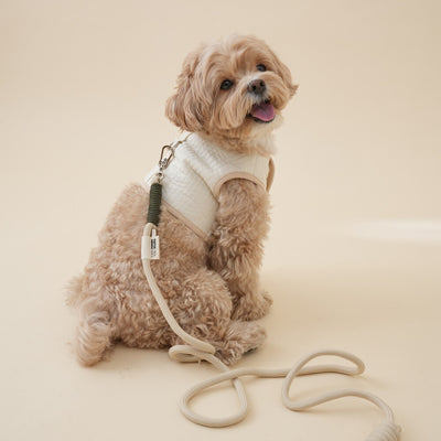 【予約】Leash