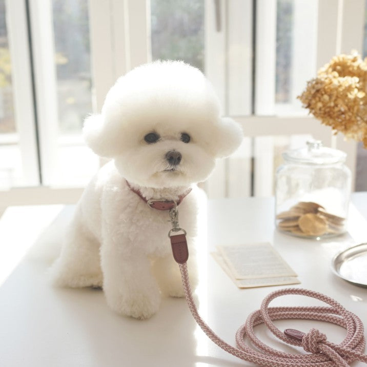 【予約】Rope leash classic - 1.8m(ヴィンテージローズ)