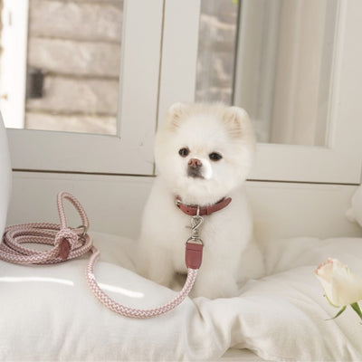 【予約】Rope leash classic - 1.8m(ヴィンテージローズ)