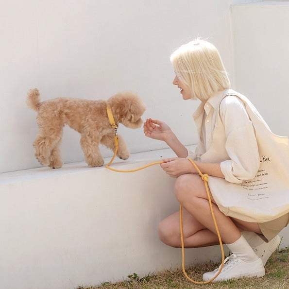 【即納】Slim leash(バナナ) - 1.8m
