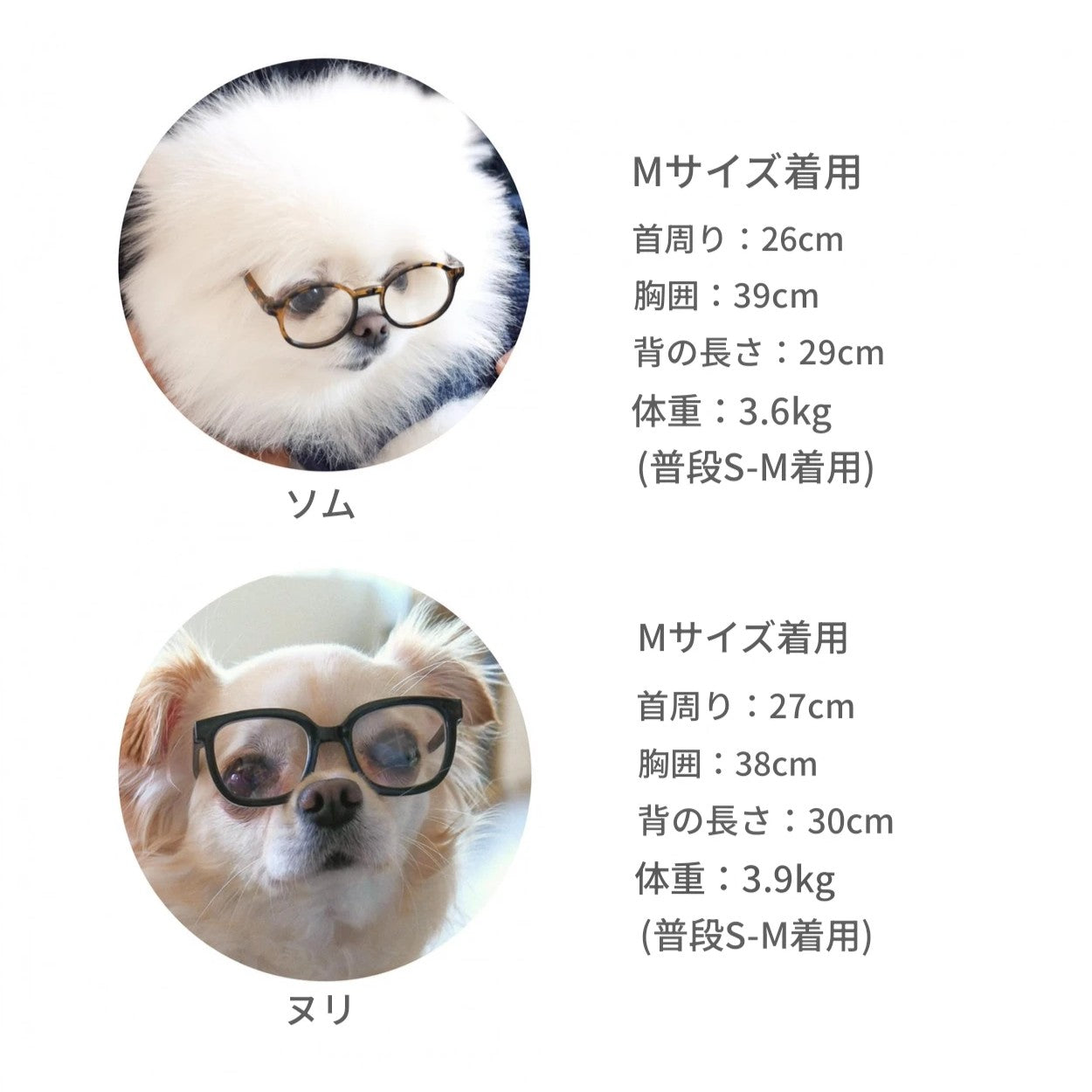 【予約】ハーフボーダーTシャツ