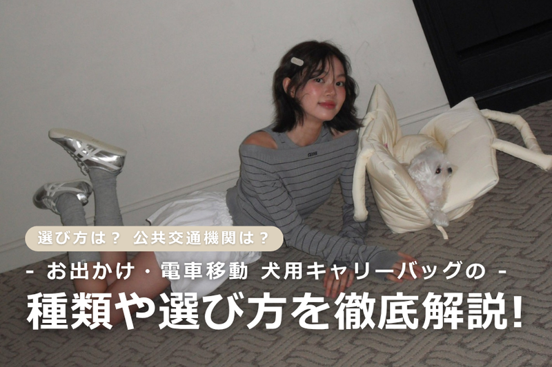 犬用キャリーバッグ完全ガイド！お出かけ・電車移動・スリングバッグの選び方
