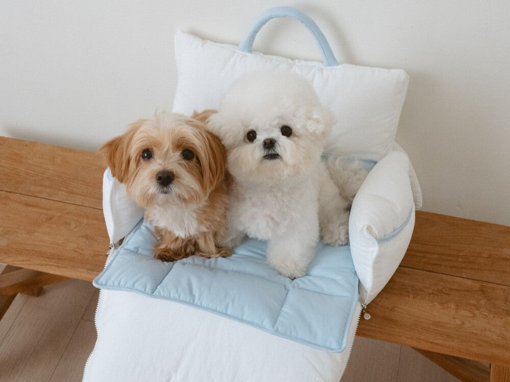 B.bed.de｜韓国発のおしゃれな犬用キャリーバッグ