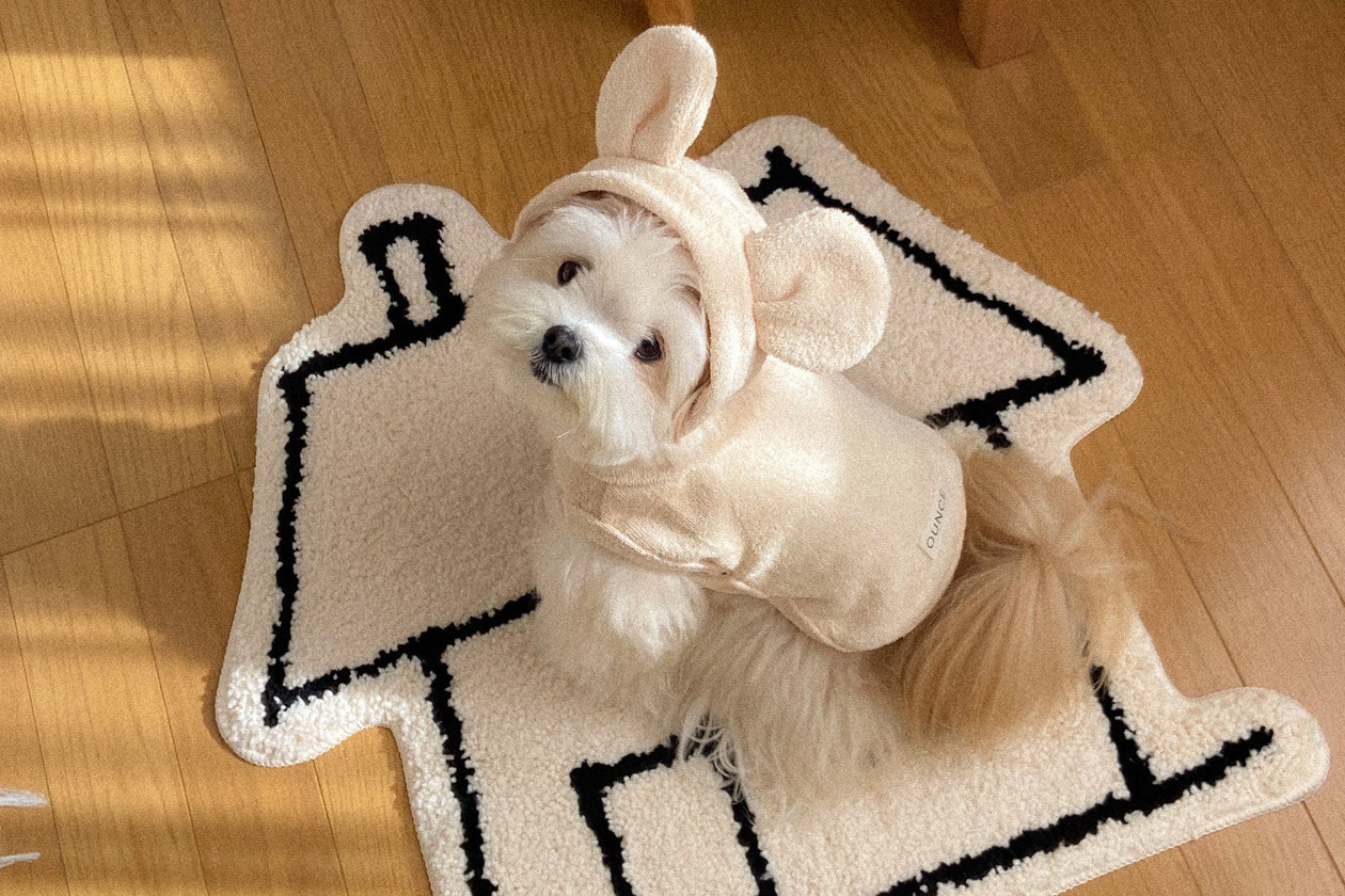 ounce｜テリー素材やフリルが可愛い韓国発の洗練された犬服ブランド