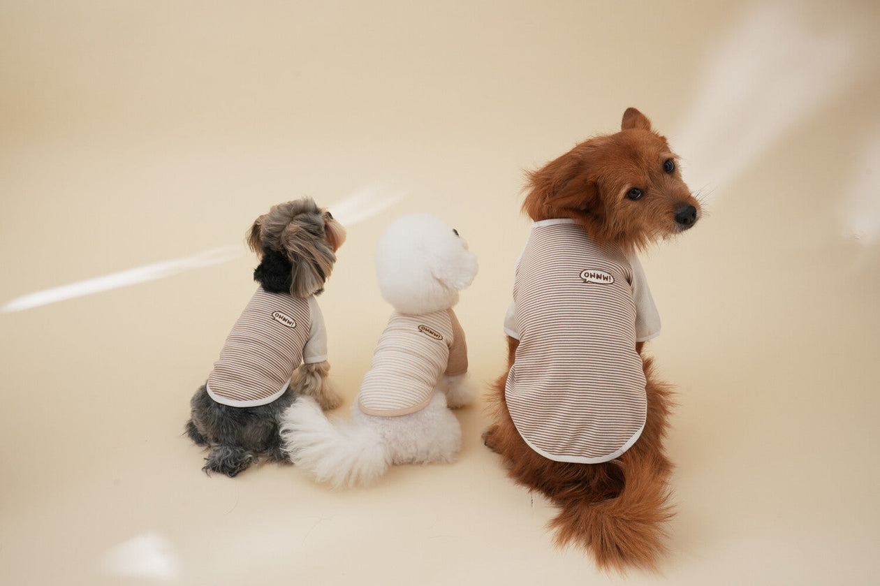 OWWW STUDIO｜オーガニック・ハンドメイド韓国犬服