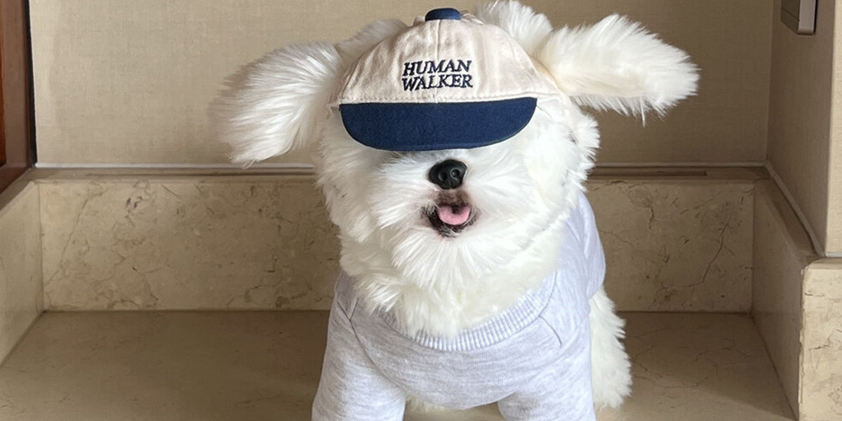 PEBBLE'S｜愛犬とお揃いで楽しむ韓国発の洗練された犬服・オーナーウェア