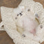 【即納】wide bag - baby ivory｜犬用キャリーバッグ