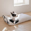 【予約】cozny cushion