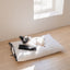 【予約】cozny cushion