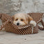 【予約】wide bag - dot brown