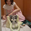 【予約】wide bag - plaid green