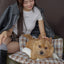 【予約】wide bag - tartan blue