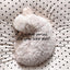 【予約】Dot Dot living - dot dot cushion