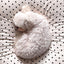 【予約】Dot Dot living - dot dot cushion