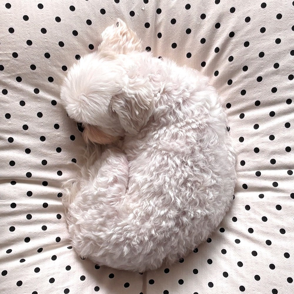 【予約】Dot Dot living - dot dot cushion