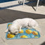【予約】Lemon Cool Mat（単品購入不可）