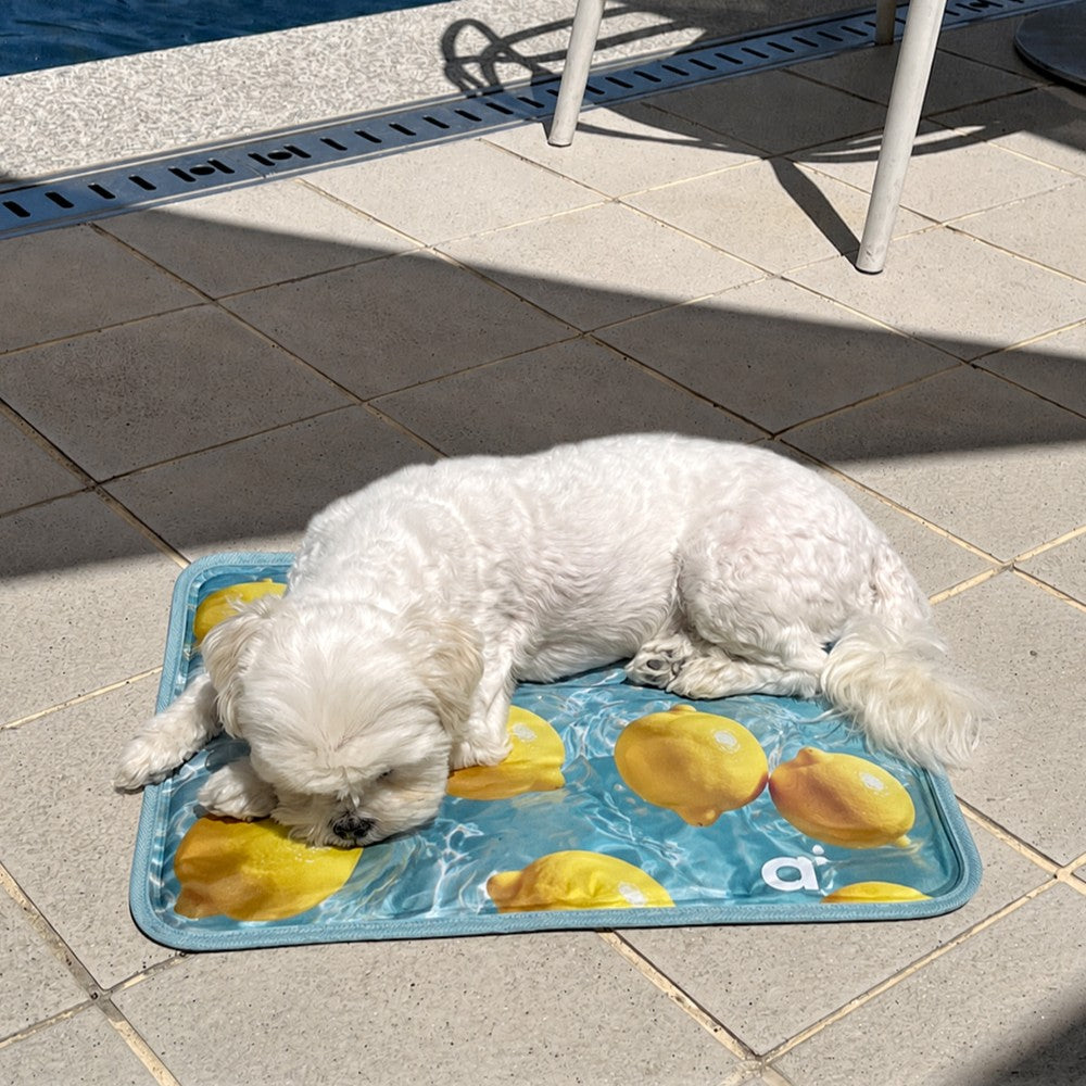 【予約】Lemon Cool Mat（単品購入不可）