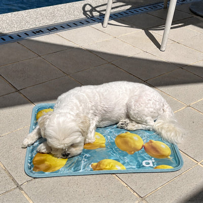 【予約】Lemon Cool Mat（単品購入不可）