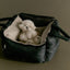 【予約】Mou Car seat