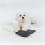 【予約】Mou Icepack Pouch