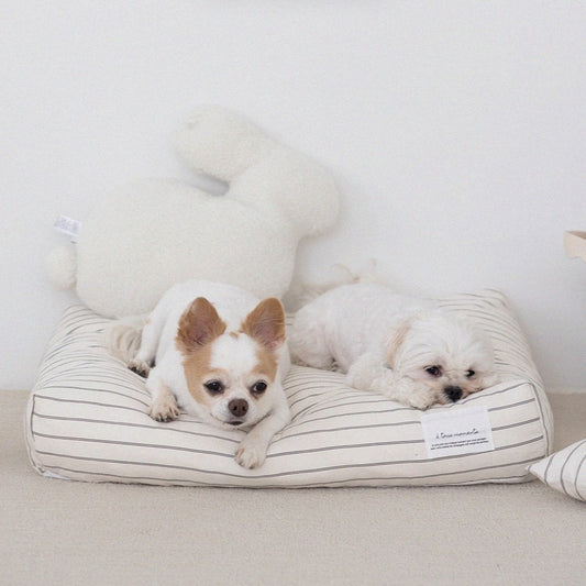 【予約】Partir living - partir cushion