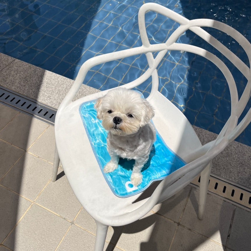【予約】Wave Cool Mat（単品購入不可）