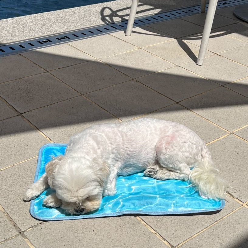 【予約】Wave Cool Mat（単品購入不可）