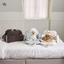 【予約】Cuddle bag - blue
