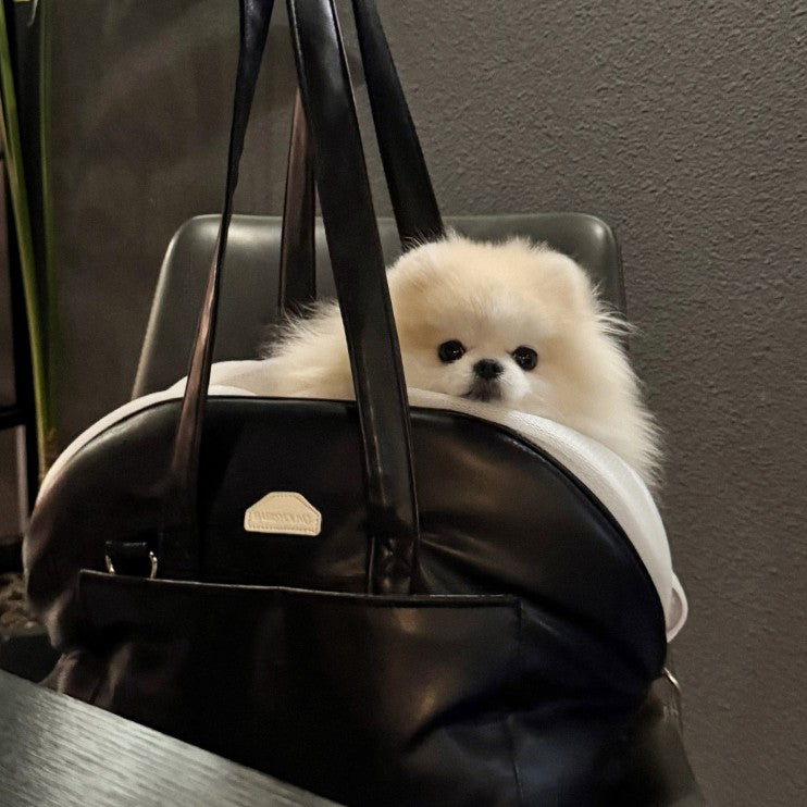 【予約】[Black Line] Pogny Atto Bag（クッション＋クロスストラップ付属）
