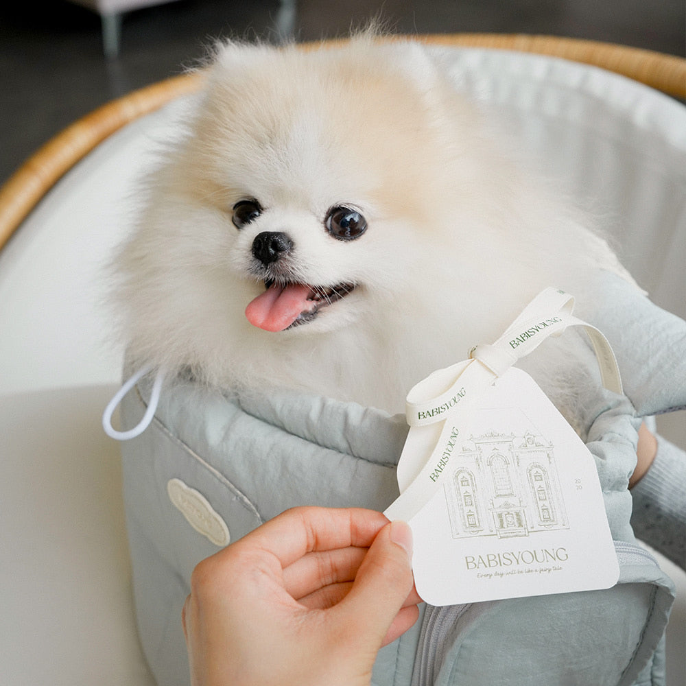 【予約】BABISYOUNG Front Bebe Bag