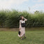 【予約】BABISYOUNG Front Bebe Bag