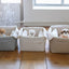 【予約】Basic cozy mung seat₊cushion