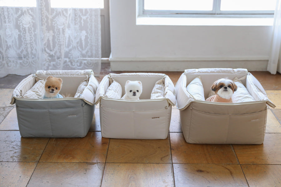 【予約】Basic cozy mung seat₊cushion
