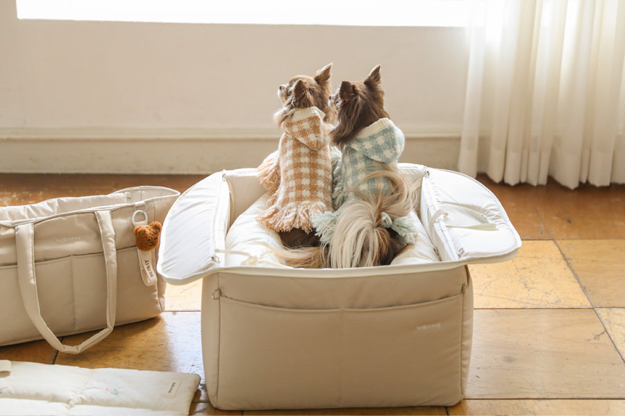 【予約】Basic cozy mung seat₊cushion