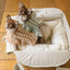 【予約】Basic cozy mung seat₊cushion