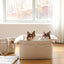 【予約】Basic cozy mung seat₊cushion