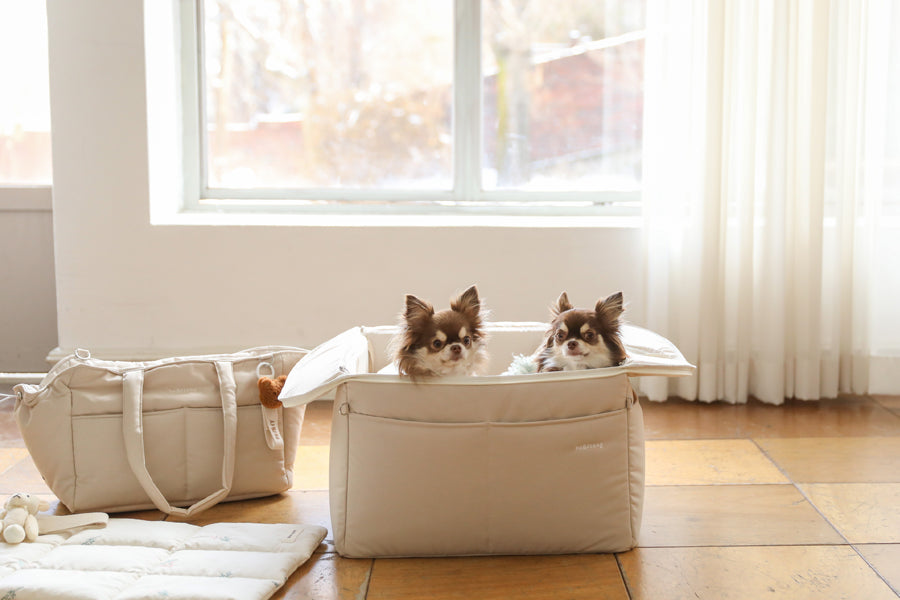 【予約】Basic cozy mung seat₊cushion
