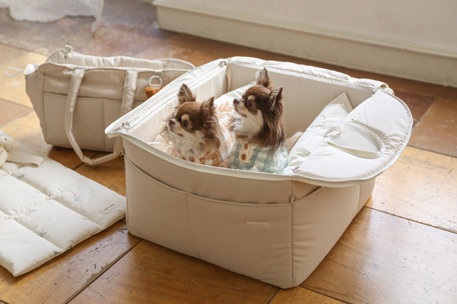 【予約】Basic cozy mung seat₊cushion