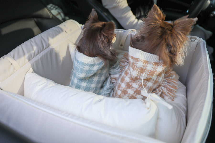 【予約】Basic cozy mung seat₊cushion