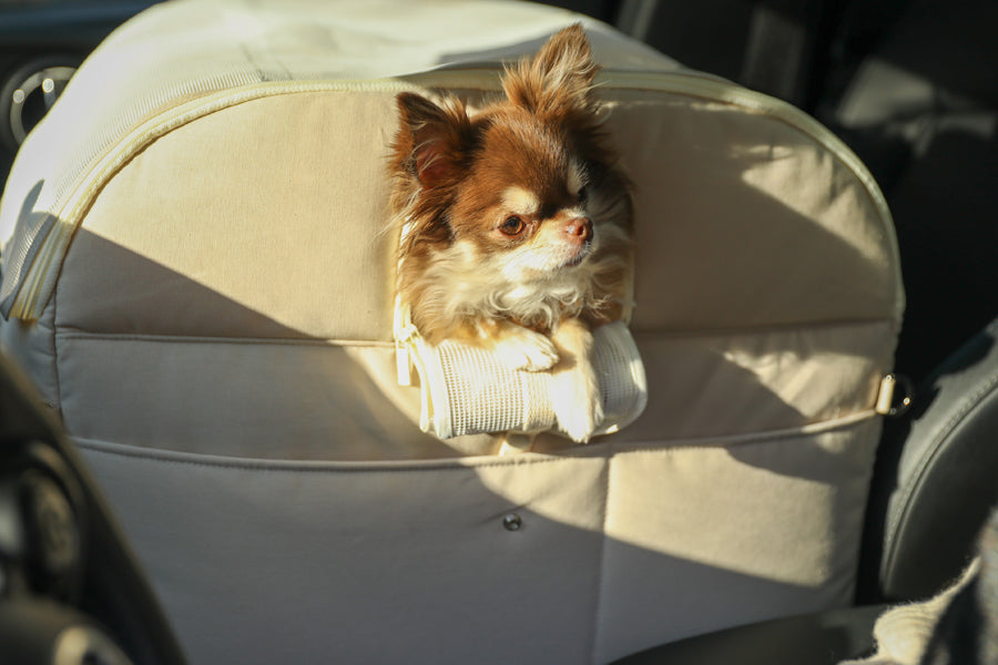 【予約】Basic cozy mung seat₊cushion