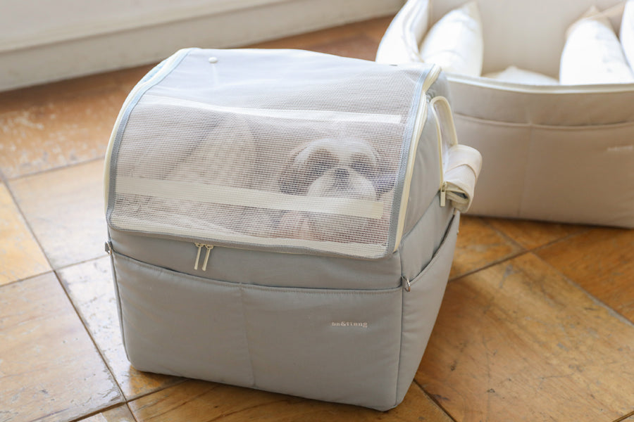 【予約】Basic cozy mung seat₊cushion