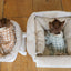 【予約】Basic cozy mung seat₊cushion