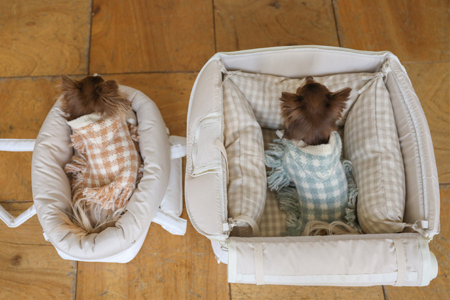 【予約】Basic cozy mung seat₊cushion