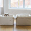 【予約】Basic cozy mung seat₊cushion